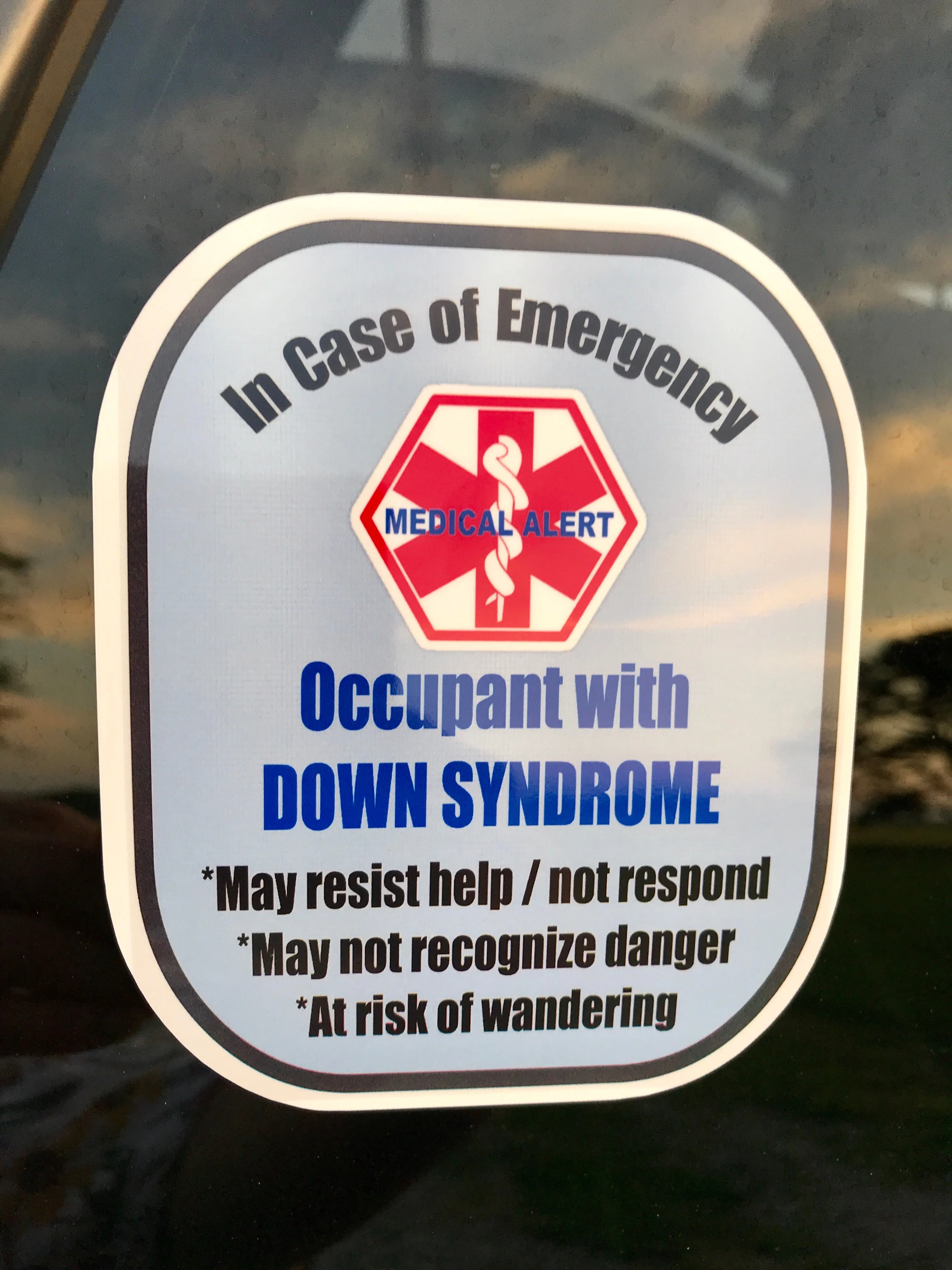Down Syndrome Decal Medical Alert Safety Sticker